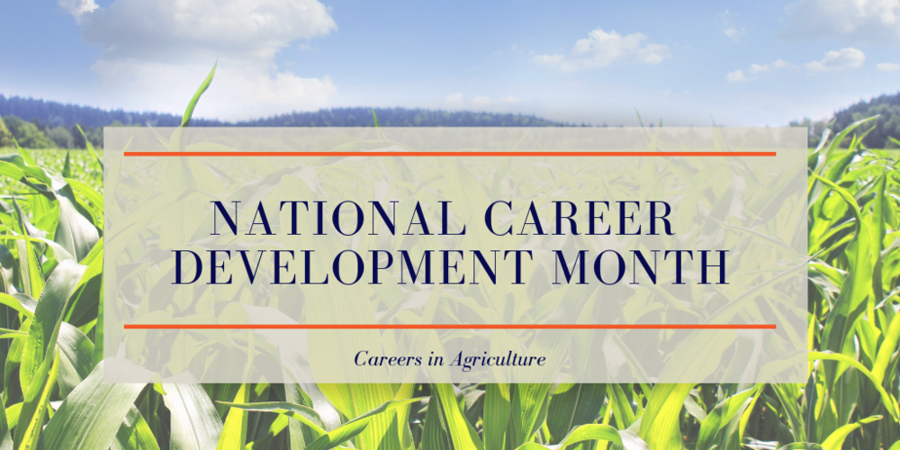 National Career Development Month