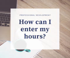 Entering Professional Development into ELIS