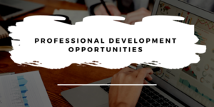 Professional Development Opportunity